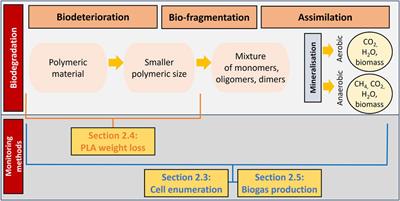 Novel methods to monitor the biodegradation of polylactic acid (PLA) by Amycolatopsis orientalis and Amycolatopsis thailandensis